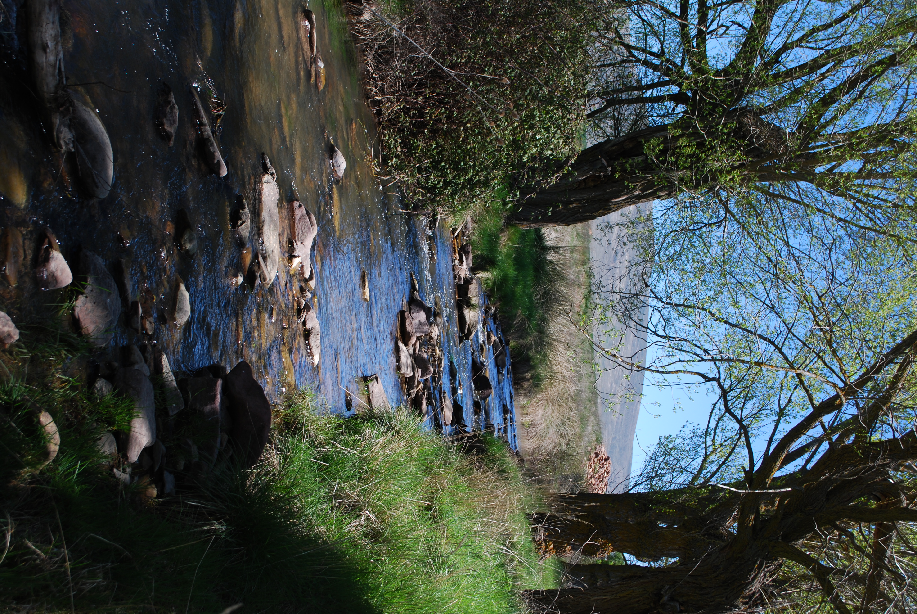 Parajes Flora y Fauna