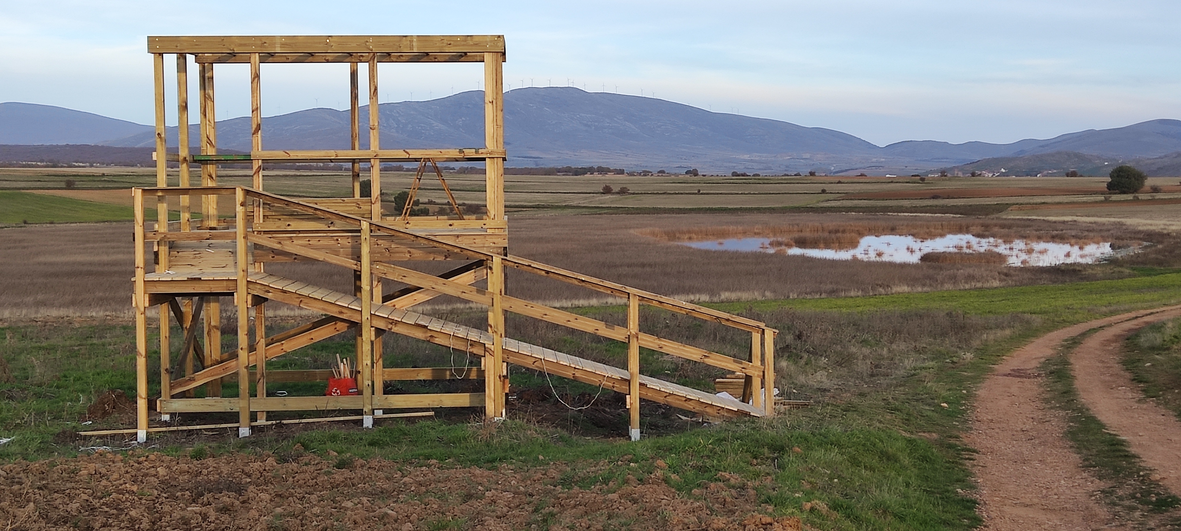 Observación de Aves